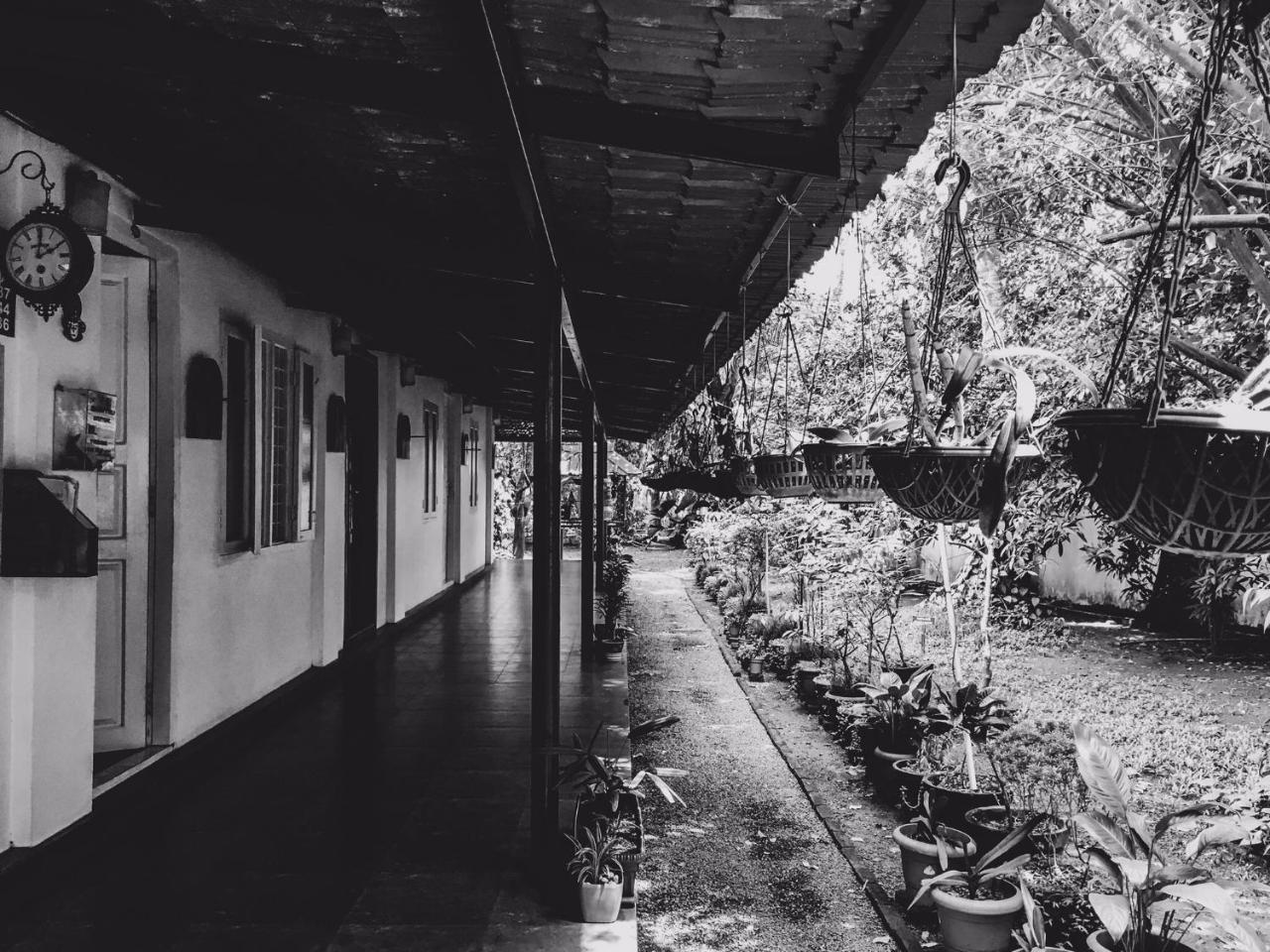 ปาล์มโกรฟ เซอร์วิสวิลล่า Kochi ภายนอก รูปภาพ