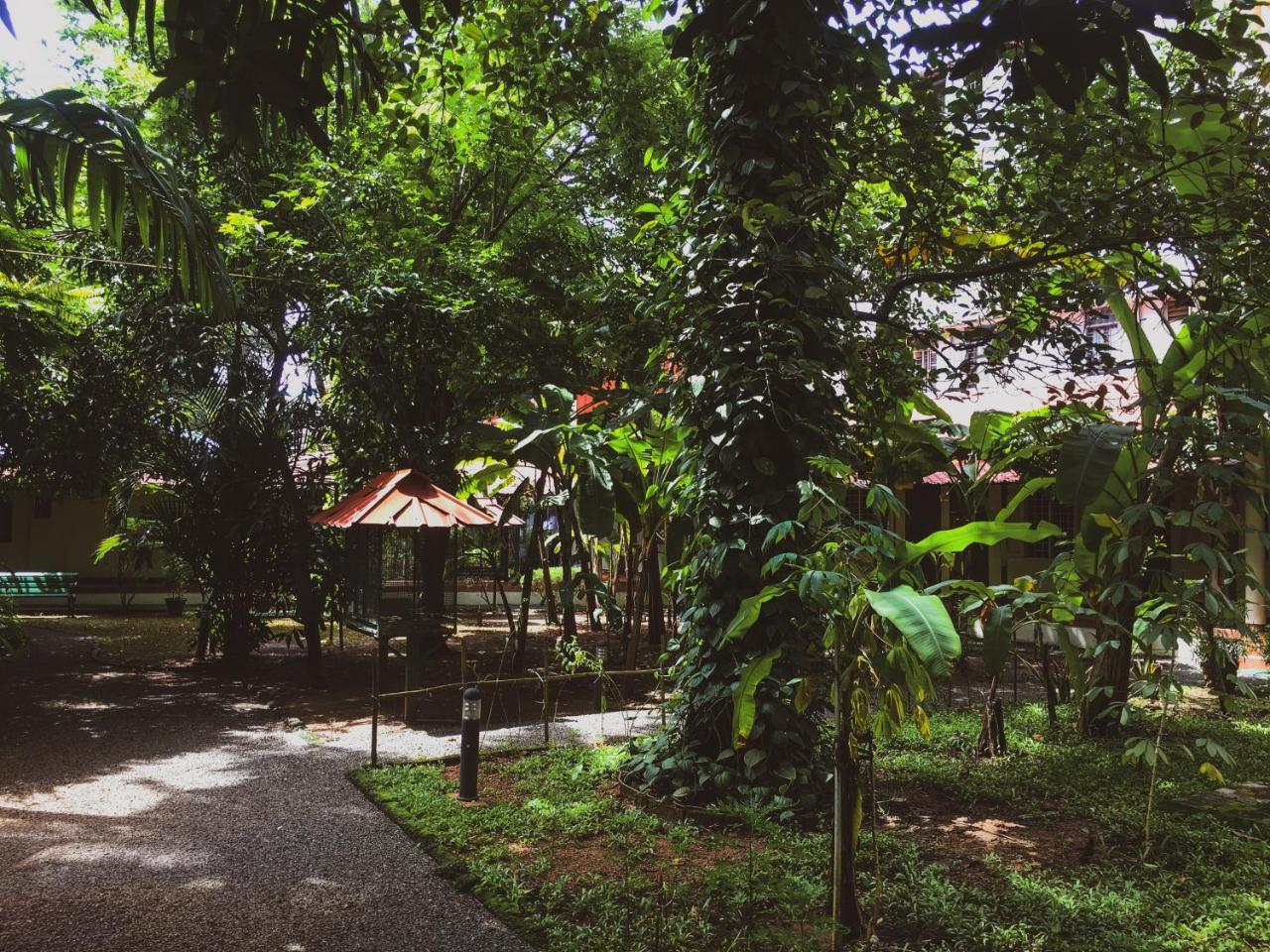 ปาล์มโกรฟ เซอร์วิสวิลล่า Kochi ภายนอก รูปภาพ