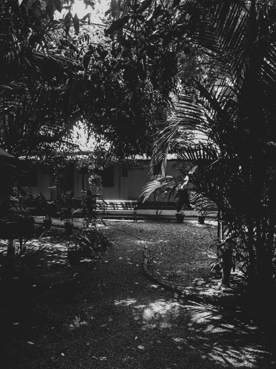 ปาล์มโกรฟ เซอร์วิสวิลล่า Kochi ภายนอก รูปภาพ